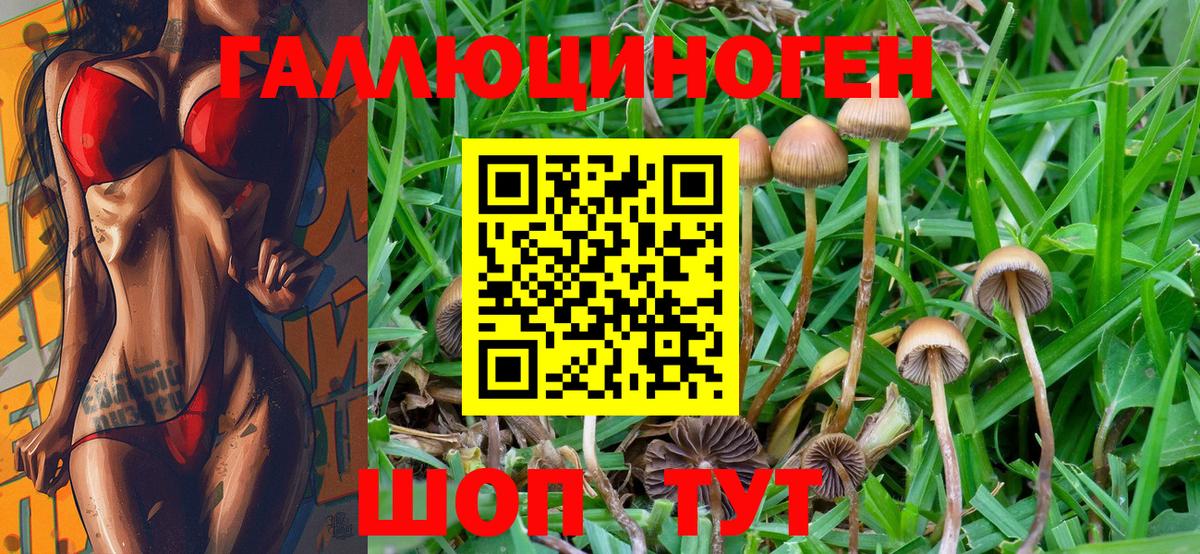 Электросталь  Галлюциногенные грибы Psilocybe  Вход с VPN  Галлюциногенные грибы мухоморы 